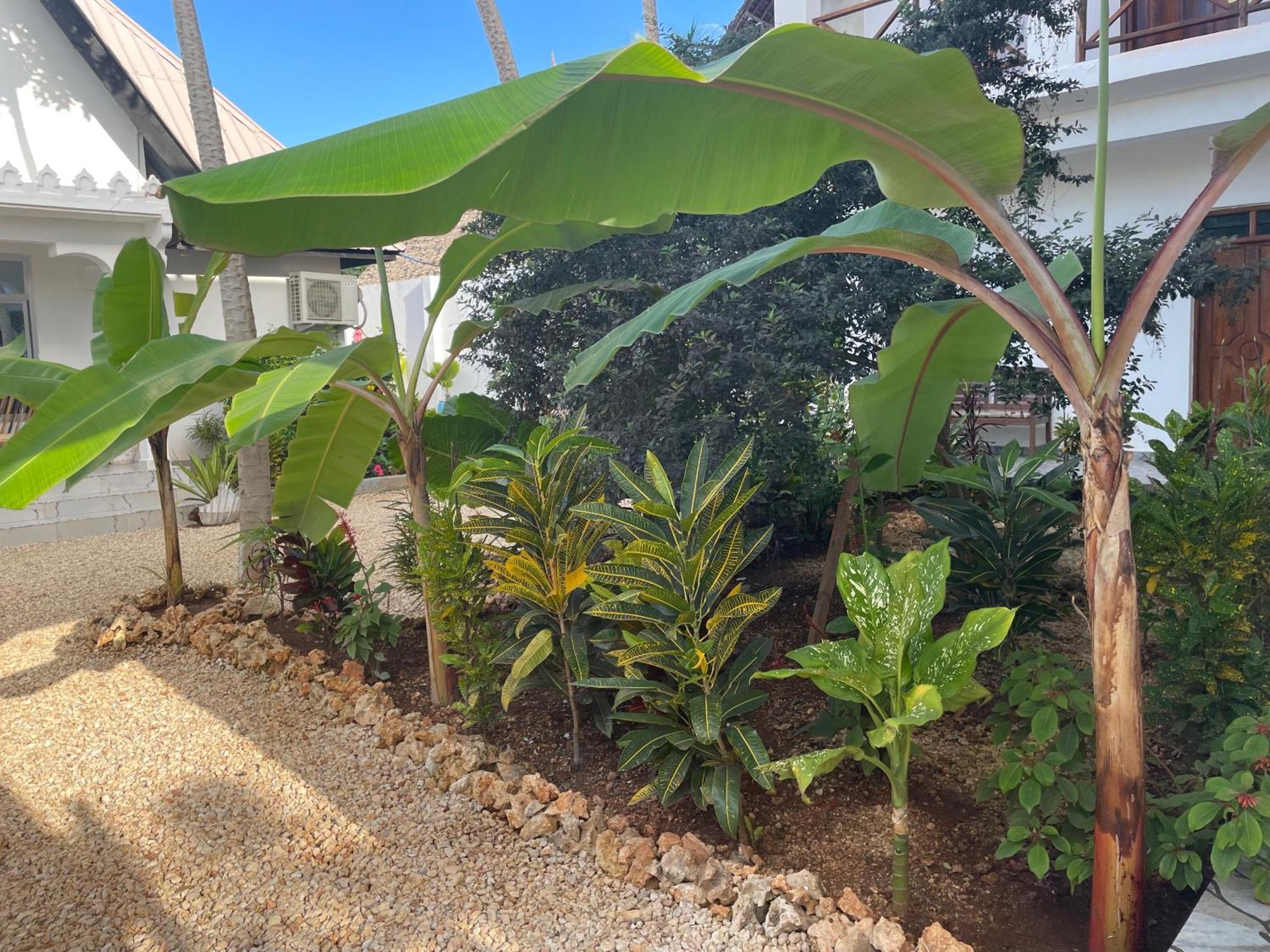 نونغوي Daniel Zanzibar Hotel المظهر الخارجي الصورة